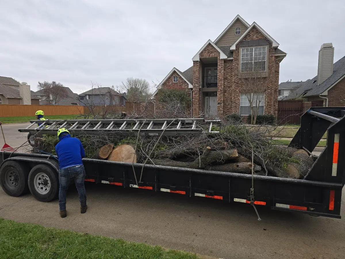 Expert Tree Fertilization with proper safety equipment in Dayton